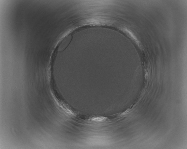 X0000076070488200609221200