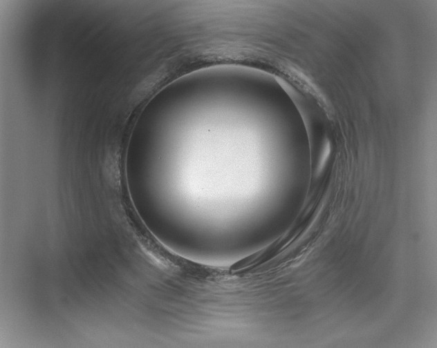 X0000076070489200609221200