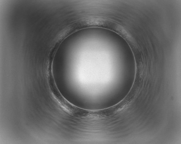 X0000076070490200609221200