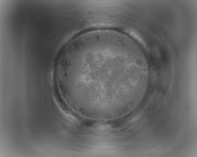 X0000076070491200609221200