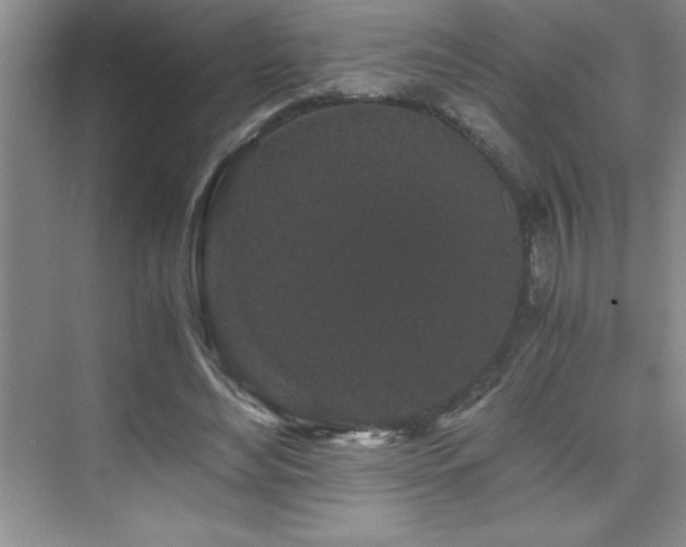 X0000076070492200609221200