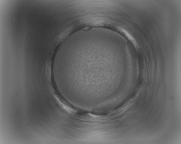 X0000076070493200609221200