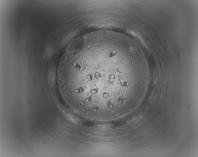 X0000076070495200609221200