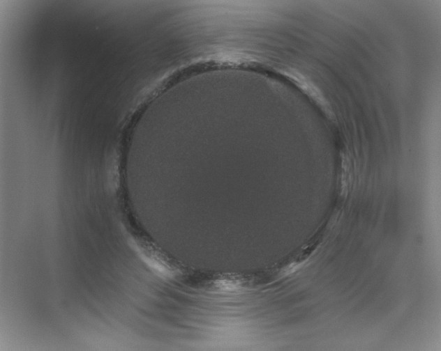 X0000076070496200609221200