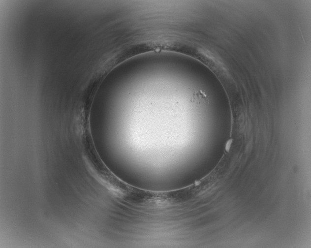 X0000076070498200609221200