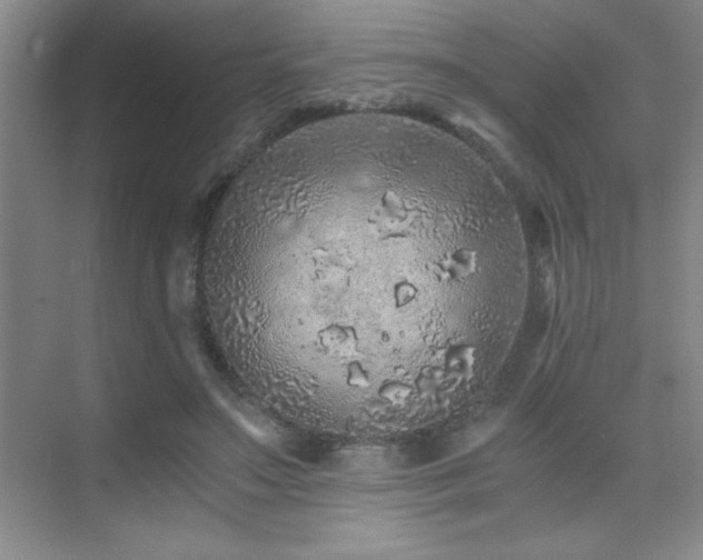 X0000076070499200609221200