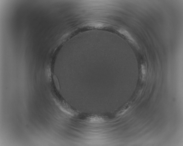 X0000076070500200609221200