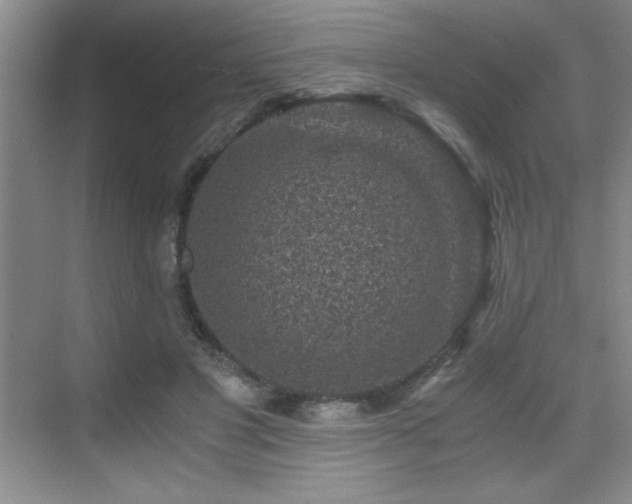 X0000076070501200609221200