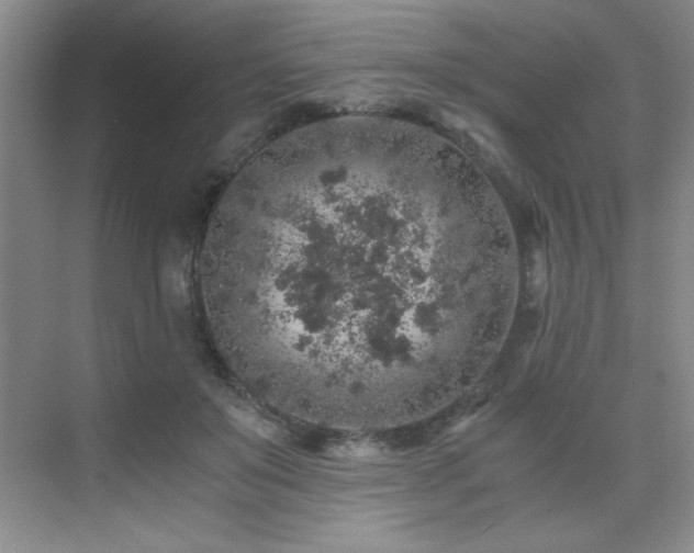 X0000076070503200609221200