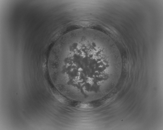 X0000076070507200609221200