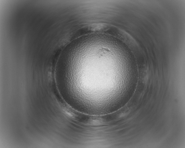 X0000076070510200609221200