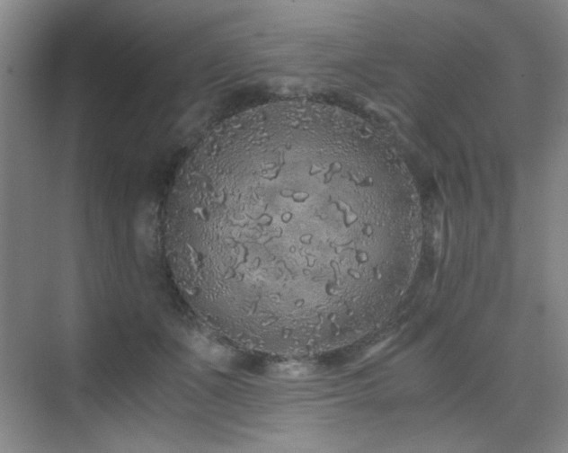 X0000076070511200609221200