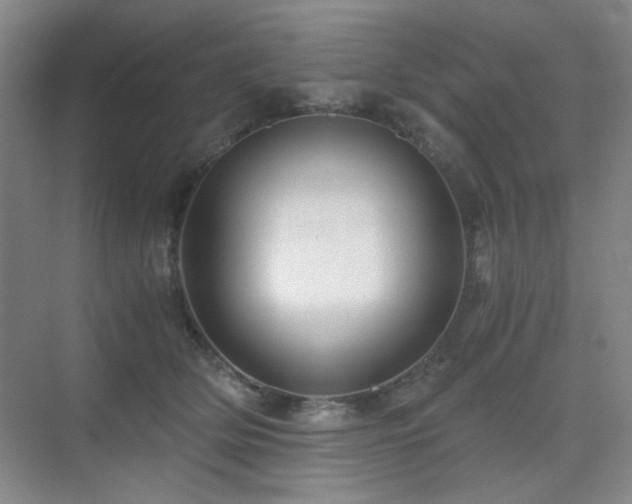 X0000076070514200609221200