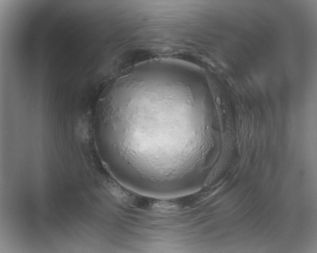 X0000076070515200609221200