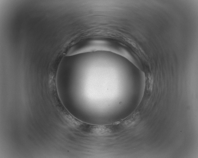 X0000076070521200609221200