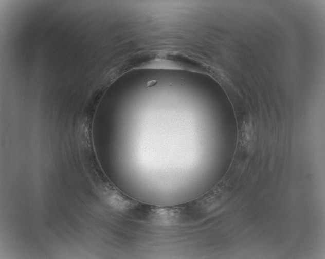 X0000076070522200609221200