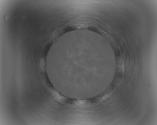 X0000076070523200609221200