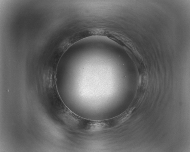 X0000076070525200609221159