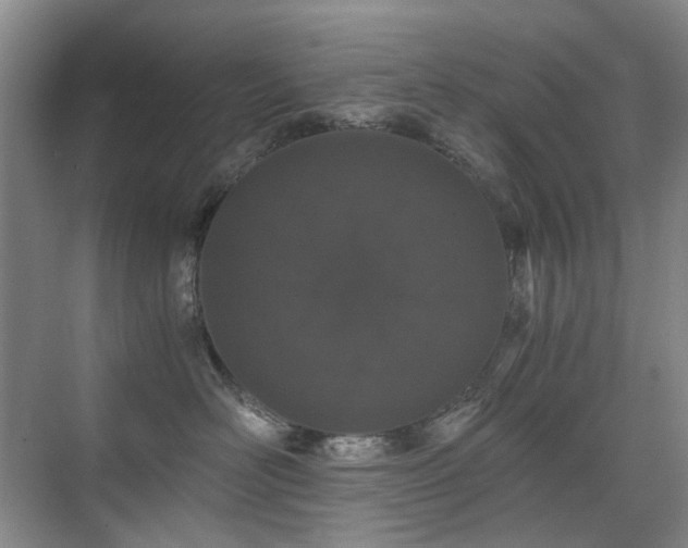 X0000076070526200609221159