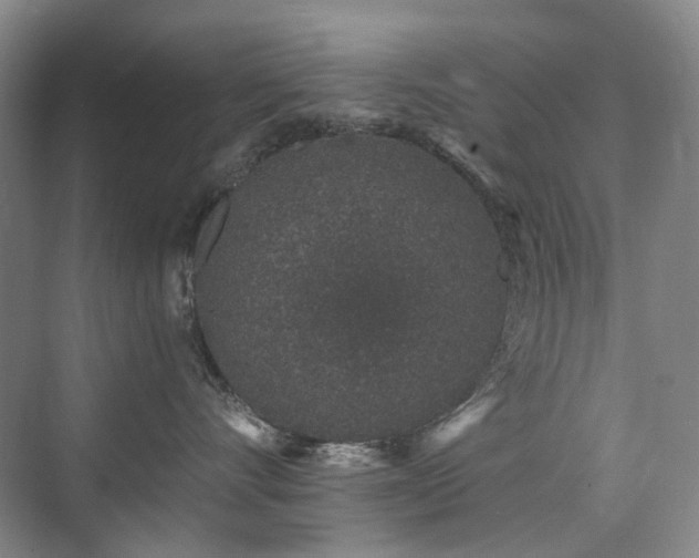 X0000076070528200609221159