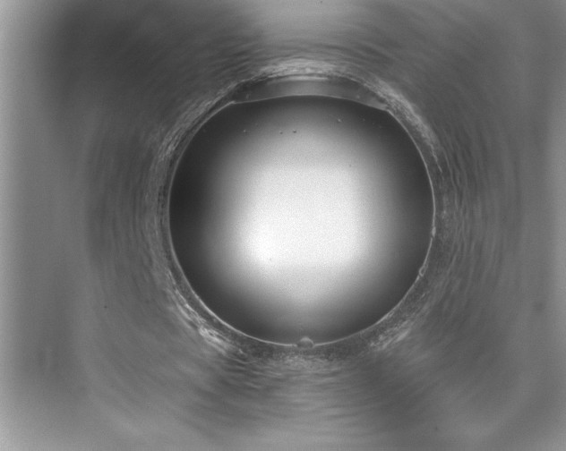 X0000076070529200609221159