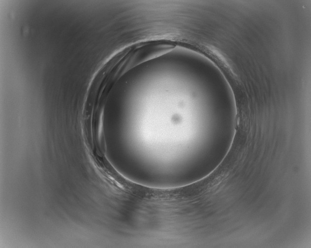 X0000076070532200609221159