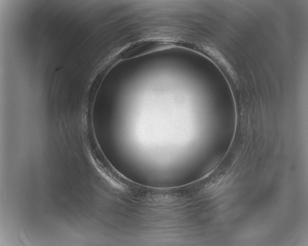 X0000076070533200609221159