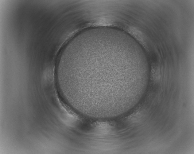 X0000076070534200609221159