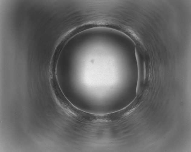 X0000076070536200609221159