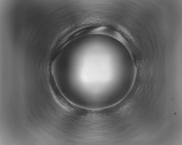 X0000076070538200609221159