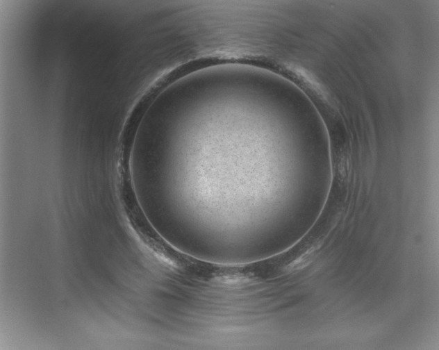 X0000076070540200609221159