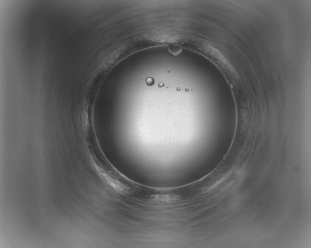 X0000076070541200609221159