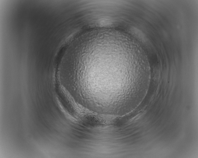 X0000076070542200609221159