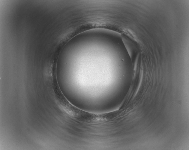 X0000076070543200609221159