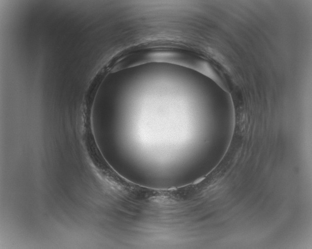 X0000076070544200609221159