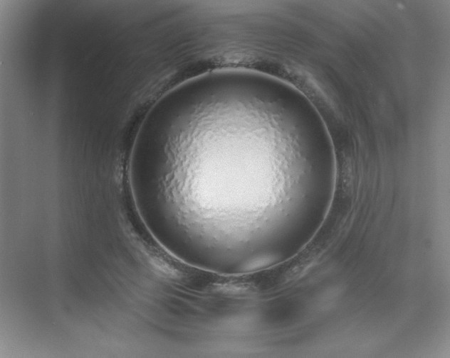 X0000076070545200609221159