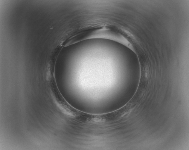 X0000076070546200609221159