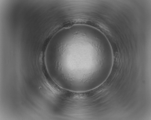 X0000076070550200609221159