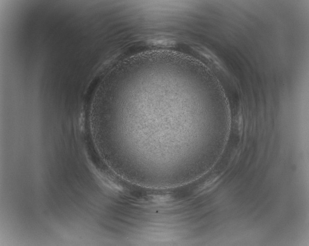 X0000076070552200609221159