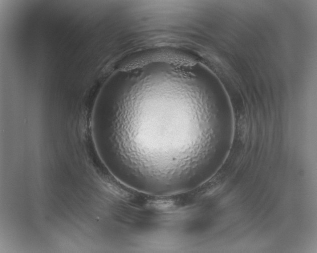 X0000076070554200609221159