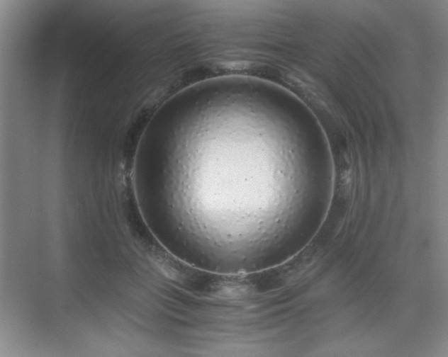 X0000076070555200609221159