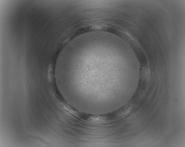 X0000076070557200609221159