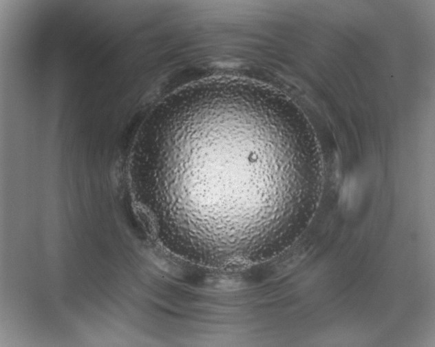 X0000076070559200609221159