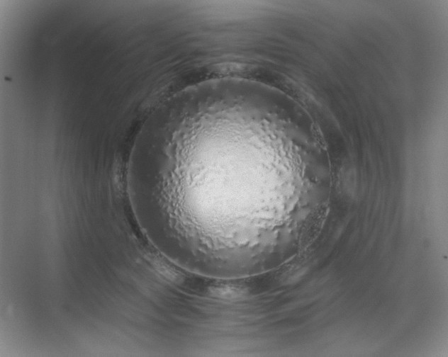 X0000076070561200609221159