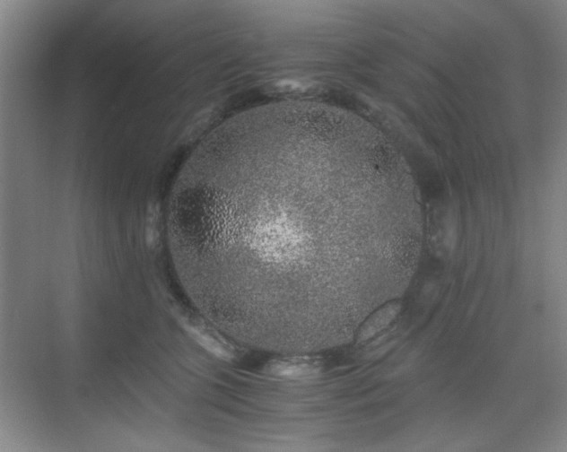 X0000076070563200609221159