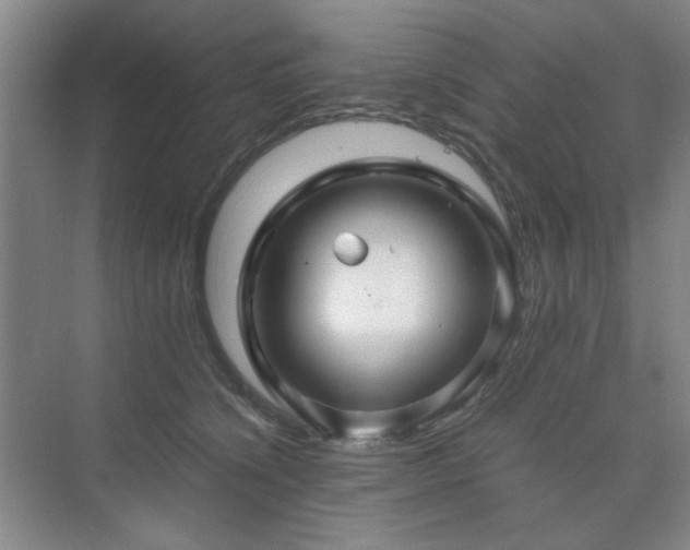 X0000076070564200609221159