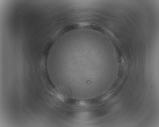 X0000076070565200609221159