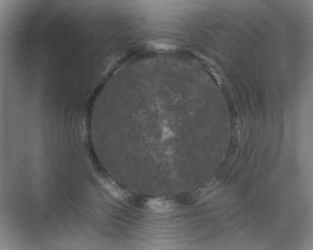 X0000076070568200609221159