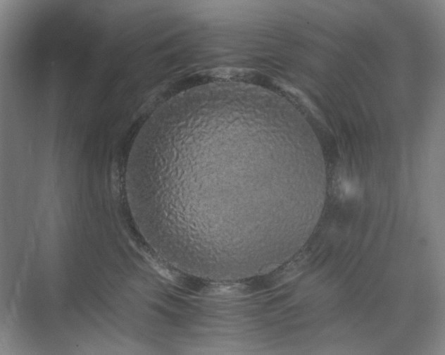 X0000076070569200609221159