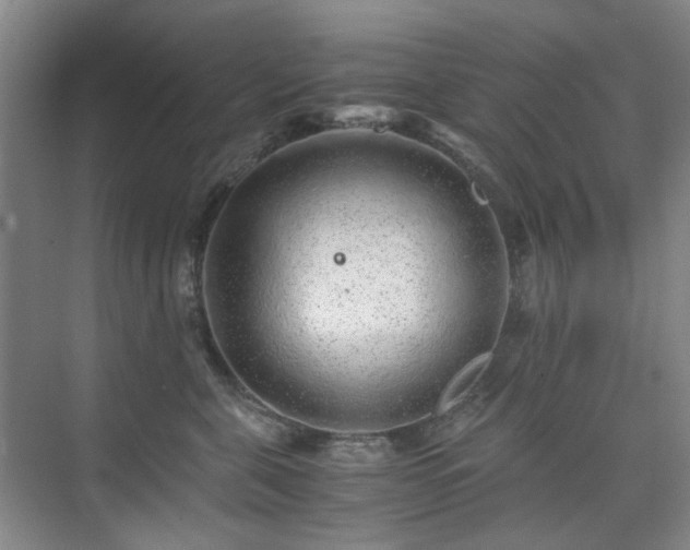 X0000076070571200609221159